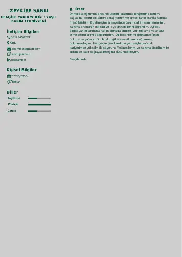 Hasta ve Yaşlı Bakım Elemanı Cv Örnekleri cv indir